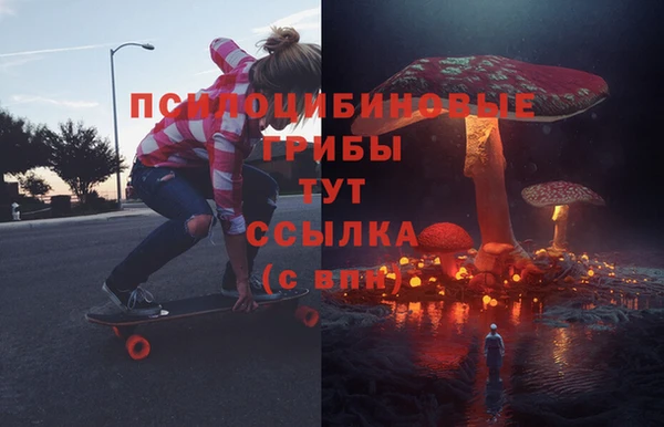 Альфа ПВП Киров