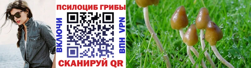 сайты даркнета состав  Алагир  Псилоцибиновые грибы мицелий 